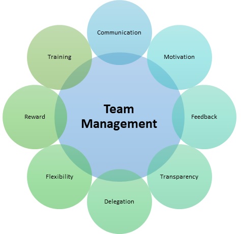 what are team management skills